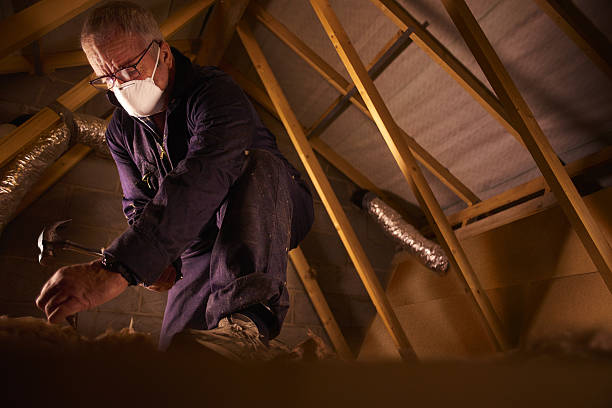 Best Insulation Maintenance and Repair in Arta, CA